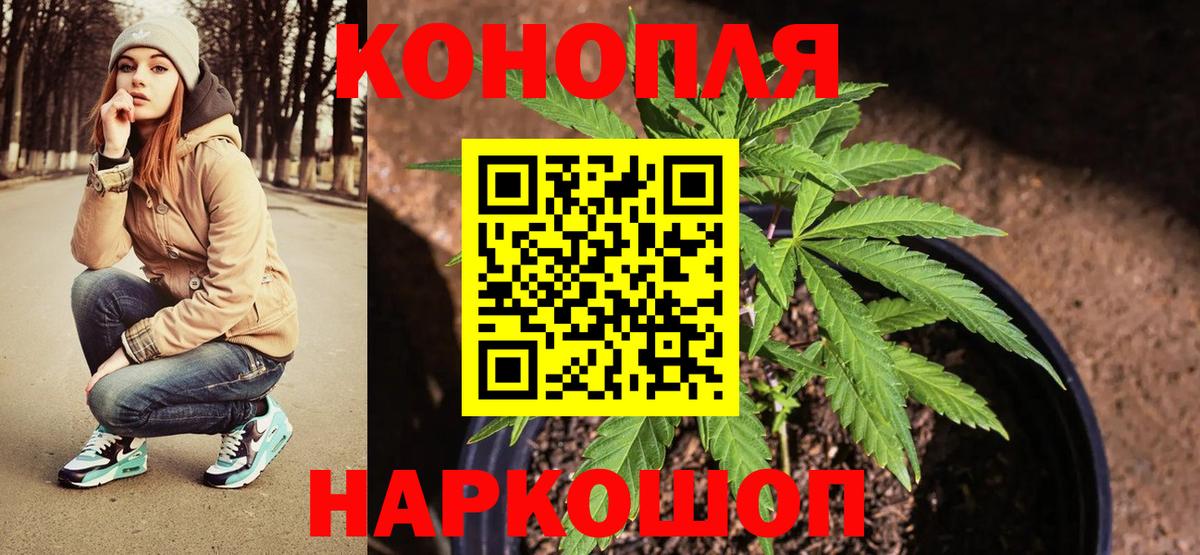 Бошки марихуана гибрид  Каннабис MAZAR  Марихуана ГИДРОПОН  Большой Камень  Вход с VPN 