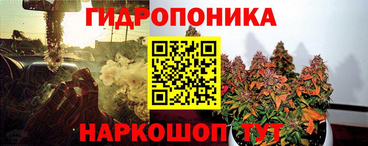Шишки марихуана тримм Большой Камень